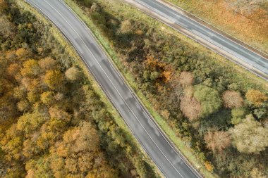 Sonbaharda bir yol ve ormanın havadan görünüşü, sonbahar renkleri.