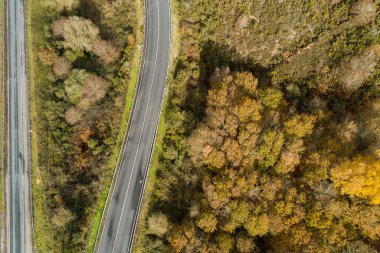 Bir ormanın havadan görünüşü ve sonbaharda bir yol, sonbahar renkleri
