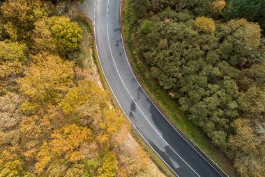 Sonbaharda bir yol ve meşe ormanının havadan görünüşü