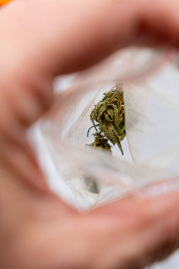 Arka plana odaklan, seçici odaklan. Marihuana tomurcuklu küçük plastik çanta..