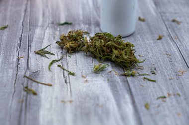 Seçici odak, tıbbi esrar sativa tomurcukları, marihuana, tıbbi marihuana