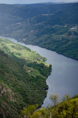 Ribeira Sacra 'daki Sil Nehri manzarası, dünya mirası alanı. Galiçya, İspanya.