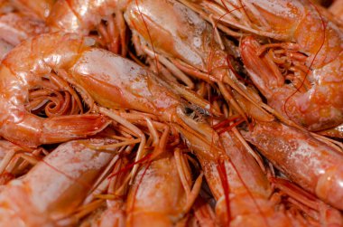 Seçici odaklanma, yakın plan kaynamış deniz karidesleri. Gastronomi