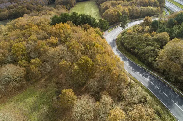 stock image aerial view of a road and an oak forest in autumn