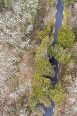 Zenital insansız hava aracı ormandaki bir yola bakıyor.