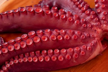 ahtapot dokunaçları Galiçya usulü pişirilmiş, pulpo a feira