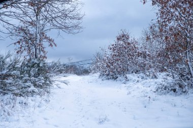 Karlı arazi, dağlardaki kırsal yol karla kaplı.