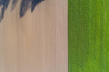 Organik tarım alanının havadan görünüşü