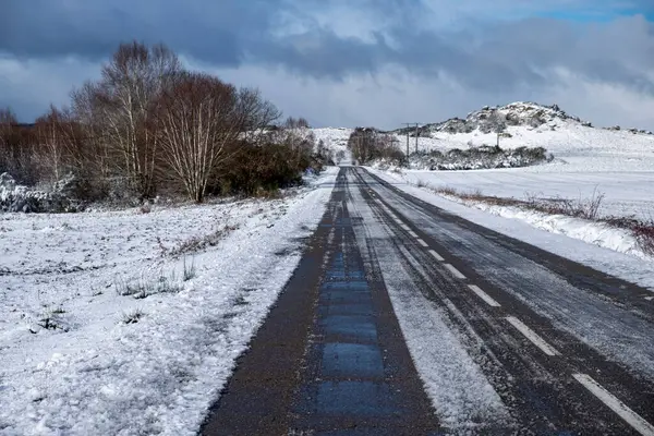 snowy road in a snowy landscape