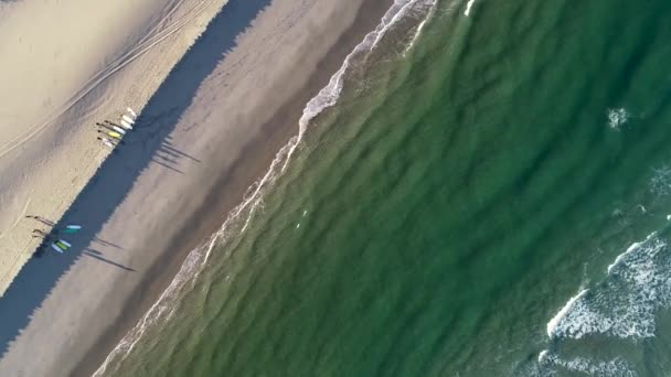 Drone Vue Aérienne Groupe Surfeurs Marchant Long Plage Avec Leurs — Video