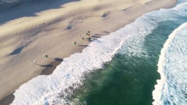 Deniz kenarında yürüyen bir grup sörfçünün hava aracı videosu, yaz sporları konsepti.