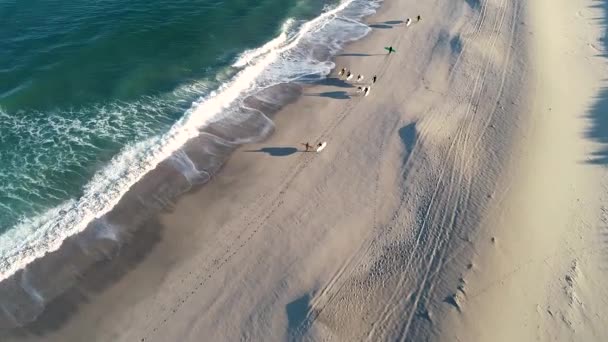 Video Aéreo Grupo Surfistas Caminando Largo Orilla Del Mar Concepto — Vídeos de Stock