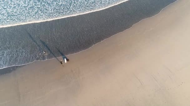 Vista Superior Tres Surfistas Con Sus Tablas Surf Mirando Mar — Vídeo de stock
