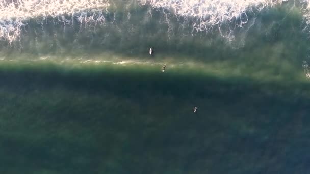 波を探してサーフボードで海に入る3人のサーファーのトップビュー 透明ターコイズウォーター 夏のウォータースポーツコンセプト — ストック動画