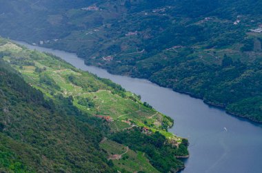 Sil nehri kanyonu boyunca seyahat eden turistik gemi, İHA Ribeira Sacra ile hava manzarası.