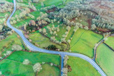 Kuzey Portekiz 'in kırsal kesimindeki bir yolun insansız hava aracı görüntüsü baharın başında