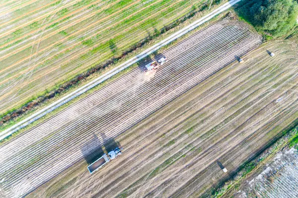 Letecký Pohled Trubcem Traktoru Kombinovat Sklízecí Stroj Zemědělském Poli Sklízení — Stock fotografie