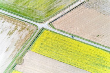 Tarlaya sürülmüş tarlalar ve ekilmiş buğday tarlaları ve kolza sahip diğer tarlalar arasında giden bir araba, insansız hava aracıyla çekilen hava manzarası.