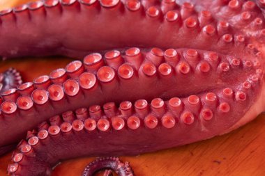 Haşlanmış ahtapot dokunaçlarını kapatın, pulpo a feira. Galiçya, İspanya