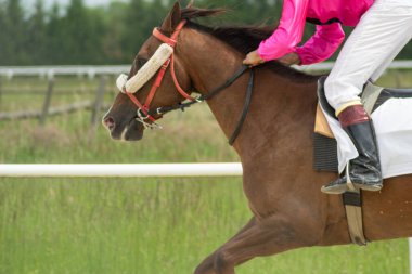 safkan at yarışı bir binicilik yarışında, İspanya