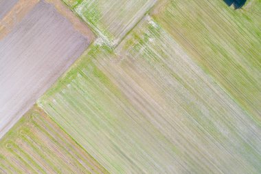İlkbaharda tarımsal alanların hava aracı görüntüsü