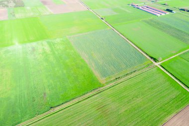İlkbaharda hazırlanmış ve ekilmiş tarım arazilerinin insansız hava aracı görünümü