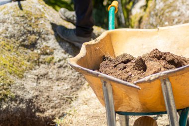 seçici odak, arkeolojik kazıda toprak bulunan sarı bir el arabası.