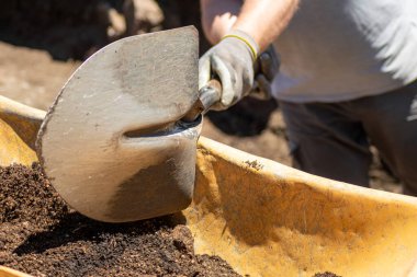 Bir adam arkeolojik bir kazıda el arabasına toprak kürüyor.