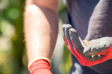 Arkeolojik bir kazıda bulunan kemik parçasını tutan bir arkeologun eli.