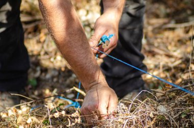 Kazının sınırlarını bir iple işaretleyen bir arkeologun elleri. Arkeolojik çalışma kavramı