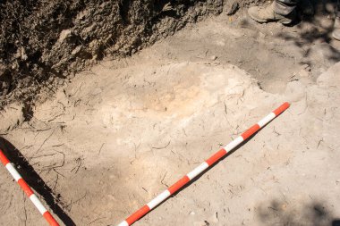 Bir kazı, kavram arkeolojisinde arkeolojik bir seviyeyi fotoğraflamak için yerdeki sıra kutupları