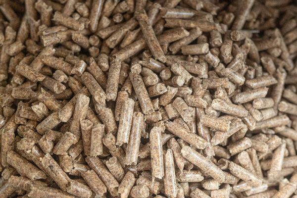 Detailed view of compressed fuel pellets for heating boilers and fireplaces an organic granulated biomass for space heating. Ecological combustible concept
