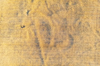 Zenital hava aracı görüntüsü yazın hasat için olgunlaşmış bir arpa tarlası, dokulu arka plan. Tarım kavramı