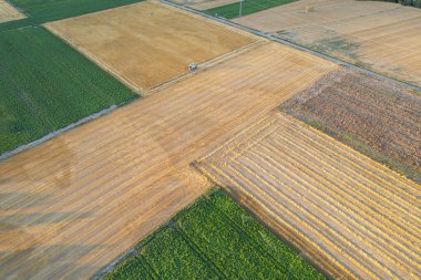 Patates tarlasının yanındaki buğday tarlasında hasatçının insansız hava görüntüsü, tarım kavramı.