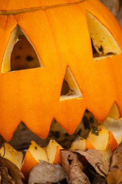 Cadılar Bayramı balkabağının yakın plan görüntüsü