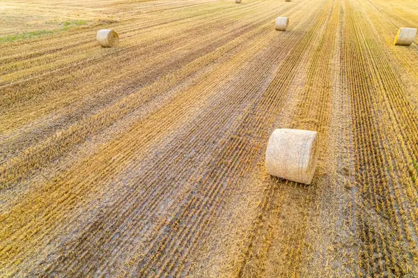 Stock image agricultural landscape, harvested wheat field with mowed straw bales. Aerial drone view