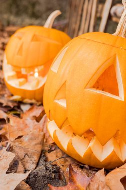 Seçici odak, kurumuş ve devrilmiş ağaç yapraklarına oyulmuş iki Cadılar Bayramı balkabağı. Sonbahar zamanı