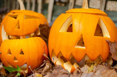 Cadılar Bayramı dekorasyonu için oyulmuş şeytani yüzlü balkabakları. Düşmüş yaprakların üzerinde ve ahşap bir çitin yanında.