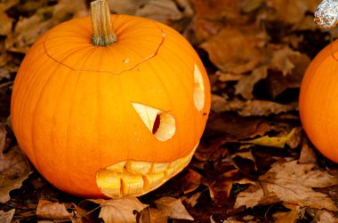 Cadılar Bayramı süslemeleri için oyulmuş kötü yüzlü balkabakları. Düşen yaprakların üzerinde