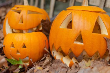 Oyulmuş bir balkabağı sonbahar mevsiminde renkli sonbahar yapraklarının arasında oturur. Tatiller, Cadılar Bayramı dekorasyon konsepti.