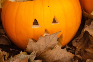 Cadılar bayramı balkabağını caddenin düşen yaprakları üzerine oymuş, Jack o fener arkaplanı