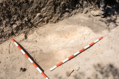 Arkeolojik bir kazıda kazılmış bir yüzey üzerindeki sıra kutupları