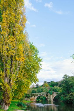 Arnoia nehir kıyısı ve Allariz 'deki ortaçağ köprüsü. Saygılar, Galiçya. İspanya