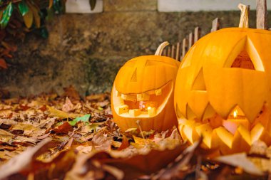Cadılar bayramı süsü olarak balkabağı oyulmuş içinde yanan bir mum olan Jack O fener. Cadılar Bayramı sonbahar arkaplanı