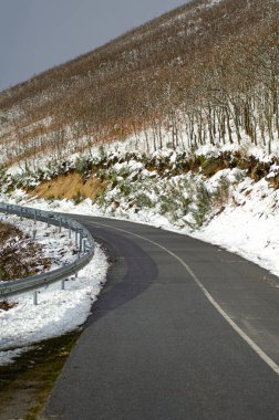 Genç meşe ağaçları ve kış konsepti olan karlı bir dağda yol. Serra do Larouco