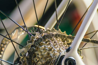 Bir yarış bisikletinin hassas vites ve fren diski, bisiklet parçaları: vites diski ve fren diski detayları