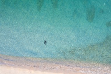 Galiçya 'daki Rias Baixas sahilinde deniz turkuvaz ve şeffaf bir su. İspanya. Havadan zenital dron görünümü