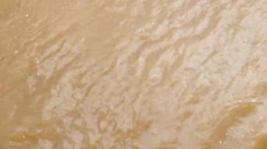 Şiddetli yağmurdan sonra sel basmış nehir kıyısını kapatın. Felaket seli ve yağmur ardından su akışı