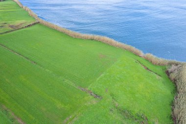 Sao Miguel, Azores takımadaları, Portekiz 'in kuzey kıyısındaki bir uçurumun zenithal insansız hava aracı görüntüsü..