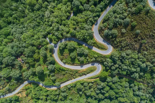 Meşe ormanı olan bir dağda dolambaçlı bir yol, insansız hava aracı manzaralı. Ribeira Sacra, İspanya